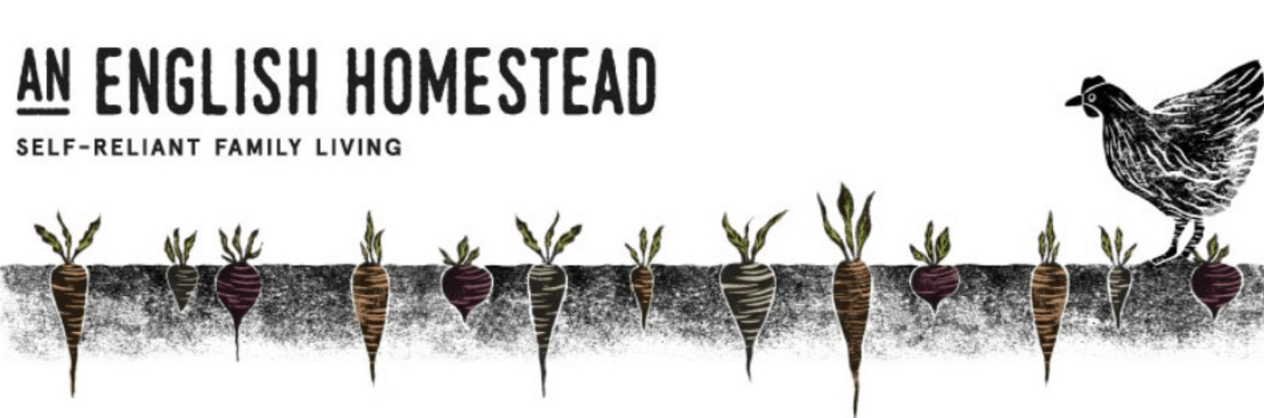 An English Homestead blog banner with a black and white cartoon of a chicken walking over carrots growing underground