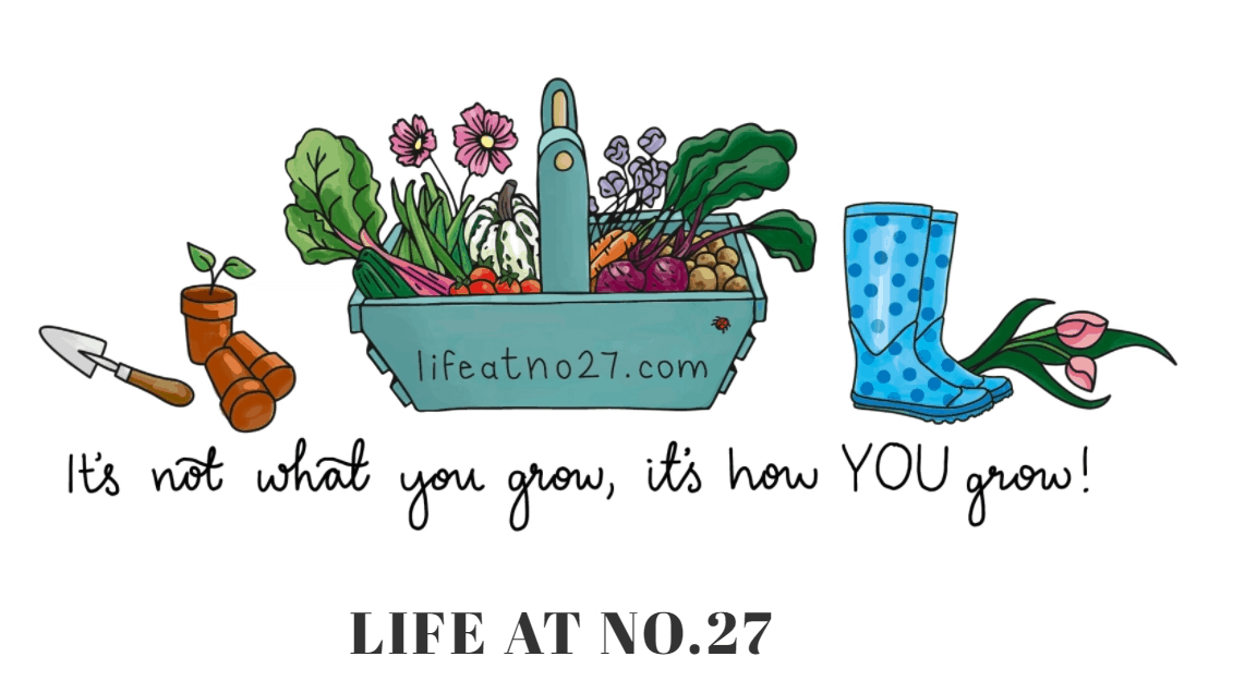 Life at No.27 Blog banner with cartoon garden equipment and vegetables