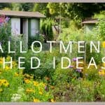 Allotment Shed Ideas: Things to Consider for the Best Allotment Shed