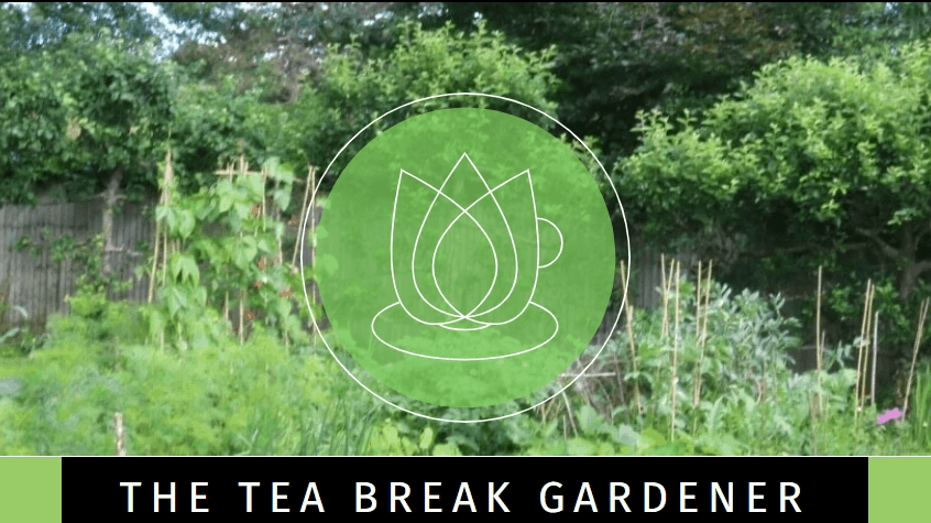 The Tea Break Gardener blog banner