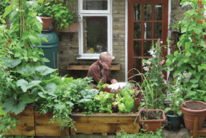 Mark Ridsdill Smith of Vertical Veg surrounded by plants on a patio