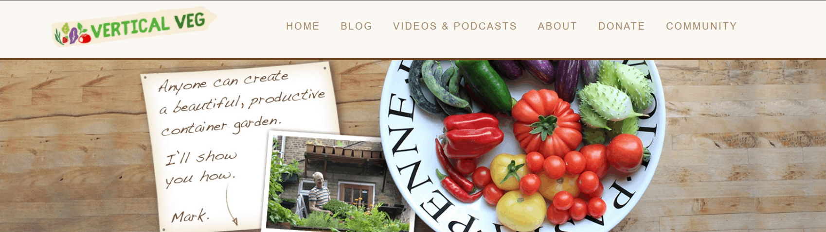 Vertical Veg blog banner with a plate of vegetables