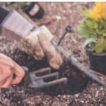 A Gardener’s Monthly Guide: April Gardening Tips and Jobs