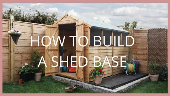 The Shed Changes Leadership Structure