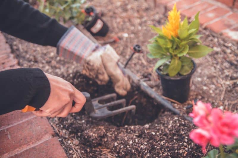how to transform a garden on a budget